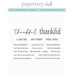 Papertrey Ink This is Big Sentiments: Thankful Stamp