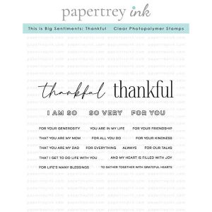 Papertrey Ink This is Big Sentiments: Thankful Stamp