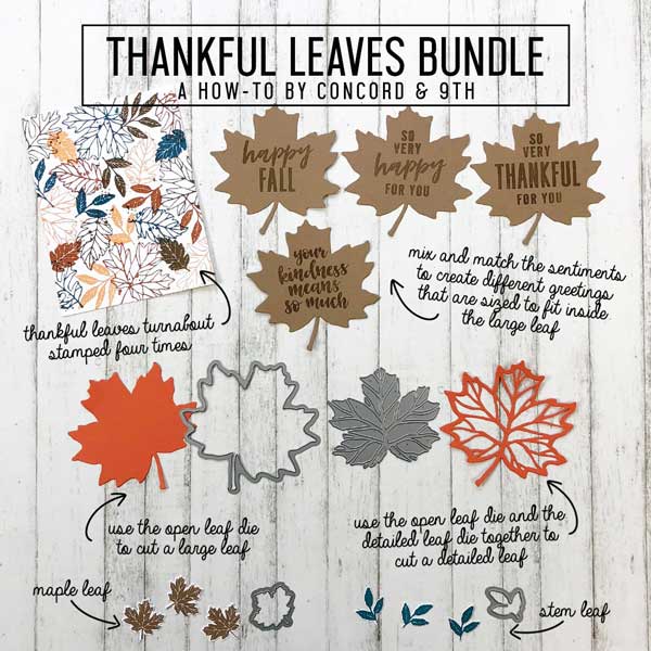 Concord &amp; 9th Thankful Leaves Die Set