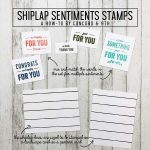 Concord & 9th Shiplap Sentiments Set