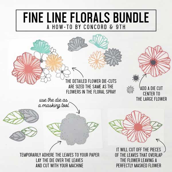 Concord &amp; 9th Fine Line Florals Dies