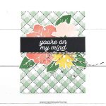 Concord & 9th Gingham Background Stamp Set