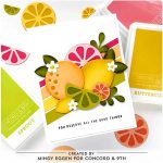 Concord & 9th Citrus Crush Stamp Set