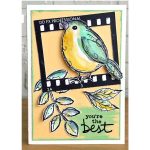 Darkroom Door Garden Birds Stamp