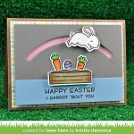 Lawn Fawn Some Bunny Stamp Set