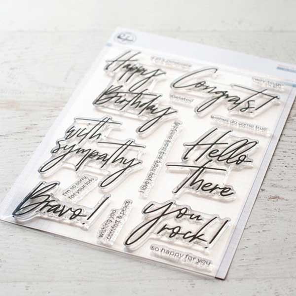 Pinkfresh Studio Scripted Bold Sentiments 2 Stamp