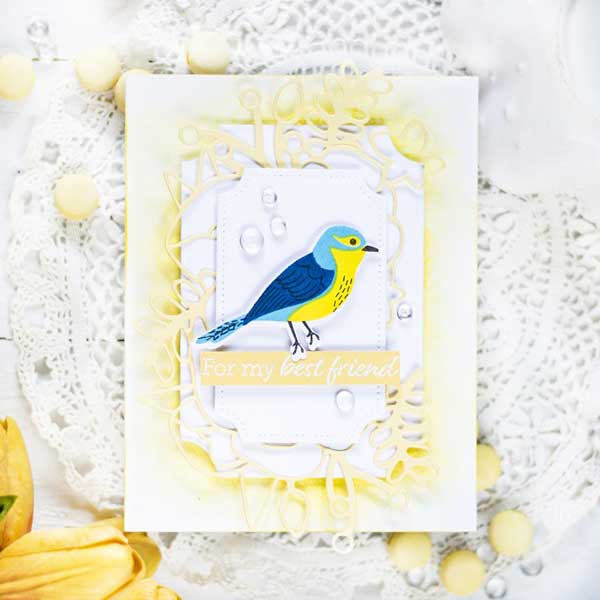 Papertrey Ink Feathered Friends Mini 2 Stamp Set