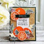 Papertrey Ink Sweet Orange Holidays Stamp Set