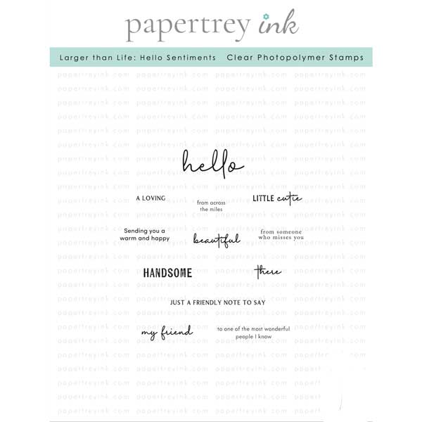 Papertrey Ink Larger Than Life: Hello Sentiments Stamp