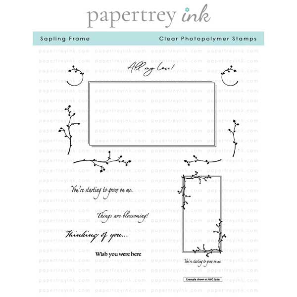 Papertrey Ink Sapling Frame Stamp