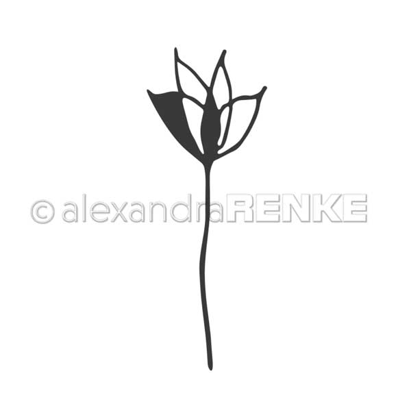 Alexander Renke Magic Flower 1 Die