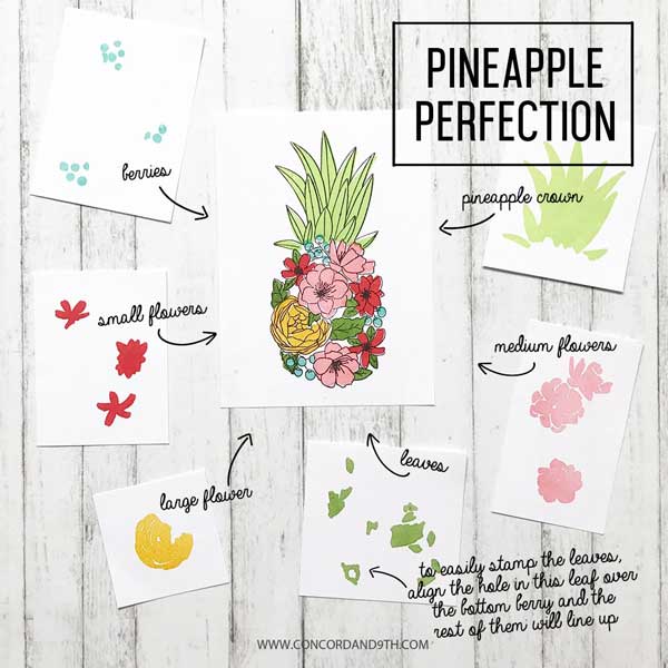 Concord &amp; 9th Pineapple Perfection Stamp Set