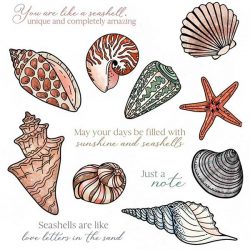 Honey Bee Stamps Seashells Dies