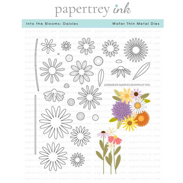 Papertrey Ink Into the Blooms: Daisies Dies