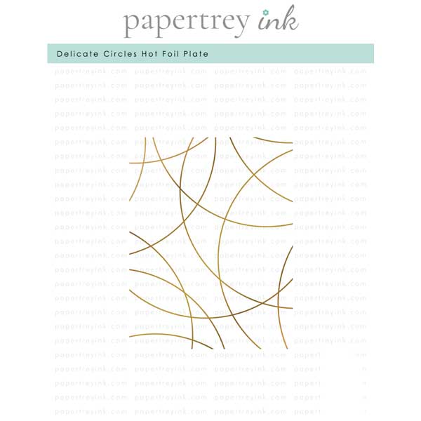 Papertrey Ink Delicate Circles Hot Foil Plate