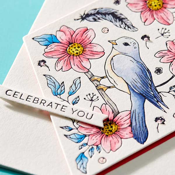 Spellbinders BetterPress Plate and Die – it&#039;s Your Day Sentiments Strips