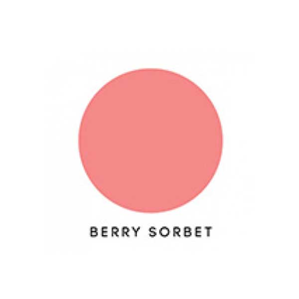 Papertrey Ink Berry Sorbet Ink Cube