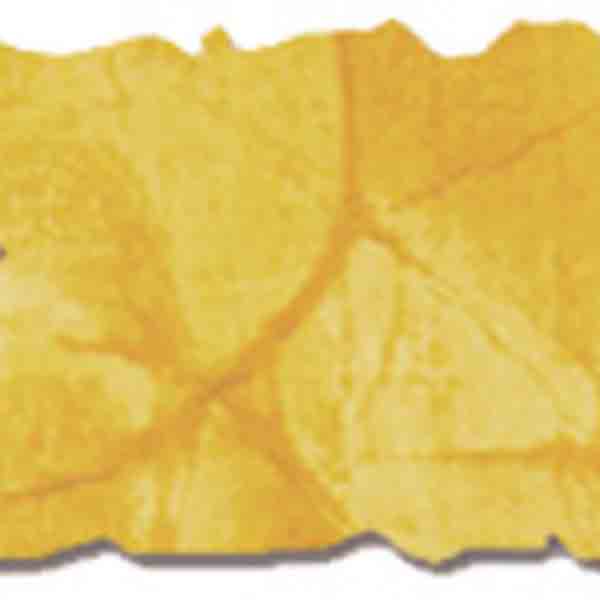 Tim Holtz Distress Ink Pad - Fossilized Amber