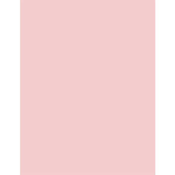 Rose Quartz Heavy 100 lb. Cardstock – 10 sheets