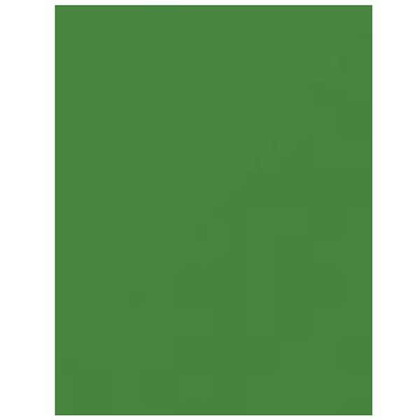 Caramel Apple Green 100lb. Heavy Card Stock - 10 sheets