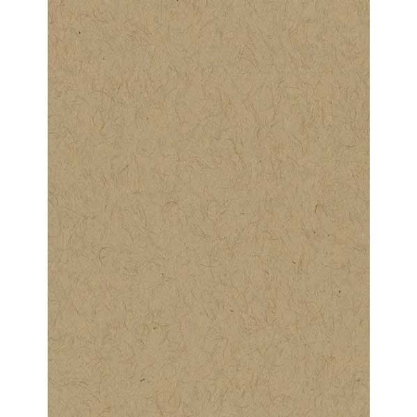 Bazzill Kraft Classic Cardstock - 10 sheets