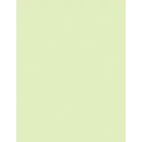 French Mints Heavy Cardstock – 10 sheets