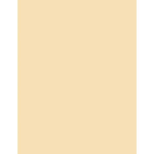 Peach Creme 80lb. Cardstock – 10 sheets