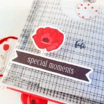 Moda Scrap Acetate – Spring Poppies 02