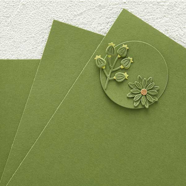 Spellbinders Fern Essentials Cardstock