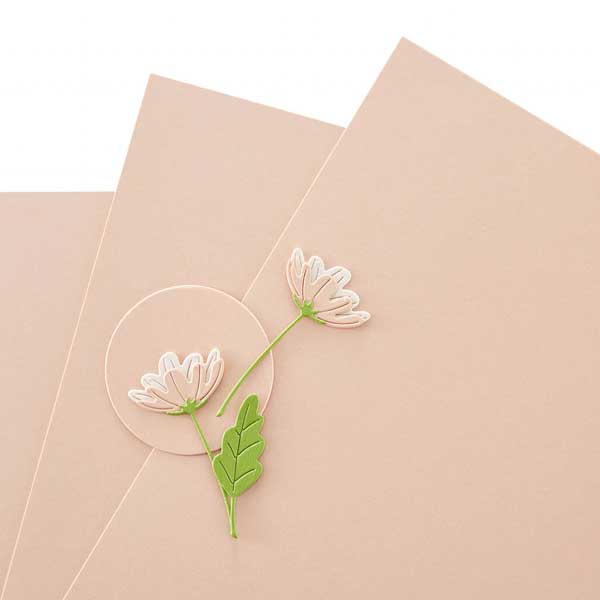 Spellbinders Peach Sorbet Essentials Cardstock