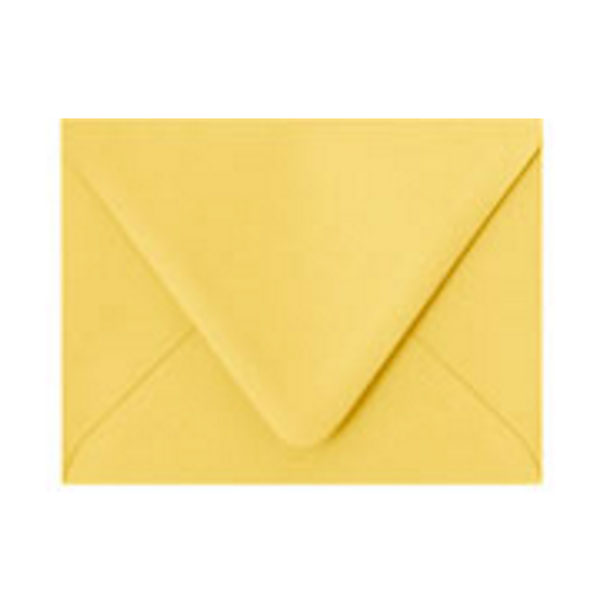 Paper Source Curry A2 Envelopes - 10 count