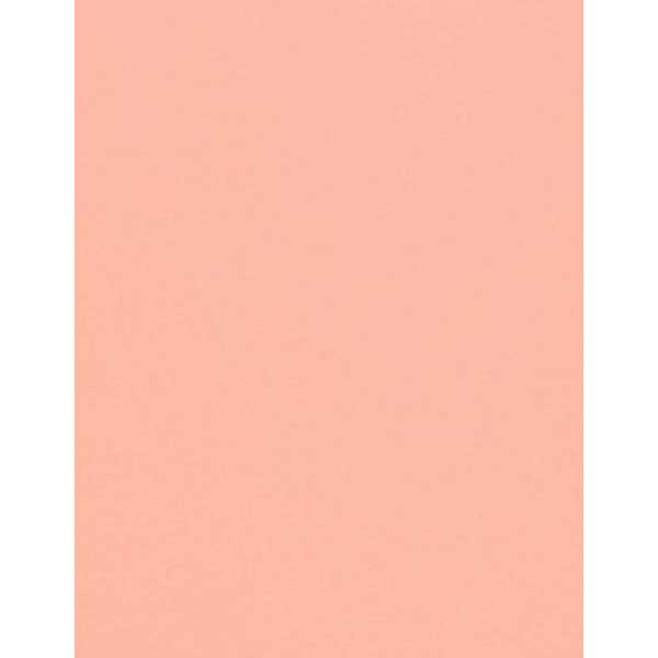 Coral Cardstock - 10 Sheets