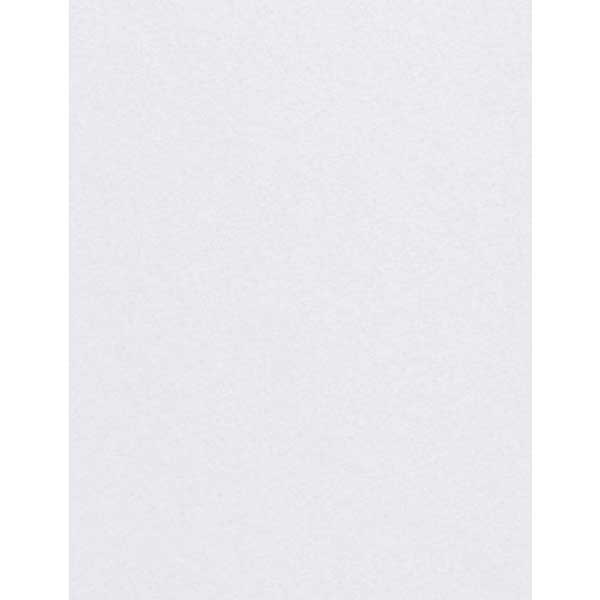 Luxe Grey Cardstock - 10 Sheets