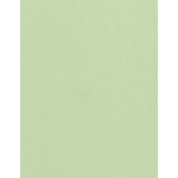 Eucalyptus Cardstock - 10 Sheets