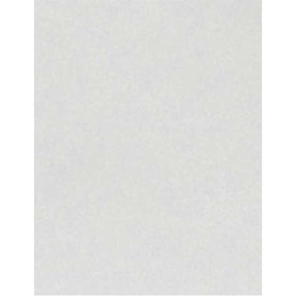 Shimmer Silver Cardstock – 10 sheets