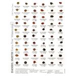 Daniel Smith Extra Fine Watercolor 238-Dot Color Chart