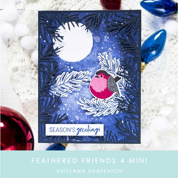 Papertrey Ink Feathered Friends Mini 4 Stamp Set