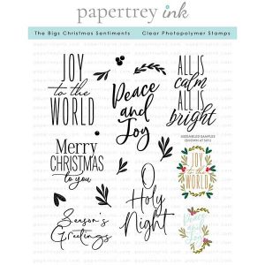 Papertrey Ink The Bigs Christmas Sentiments Stamp