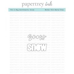 Papertrey Ink This Is Big Sentiments: Snow Dies