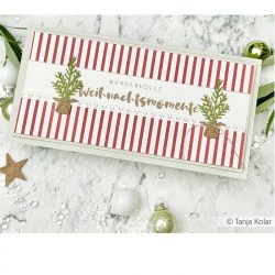 Alexandra Renke Design Paper: Small Stripes with Red Dots