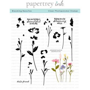 Papertrey Ink Blooming Beauties Stamp