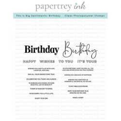 Papertrey Ink This is Big Sentiments: Birthday Stamp