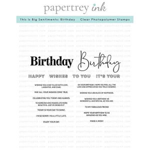 Papertrey Ink This is Big Sentiments: Birthday Stamp