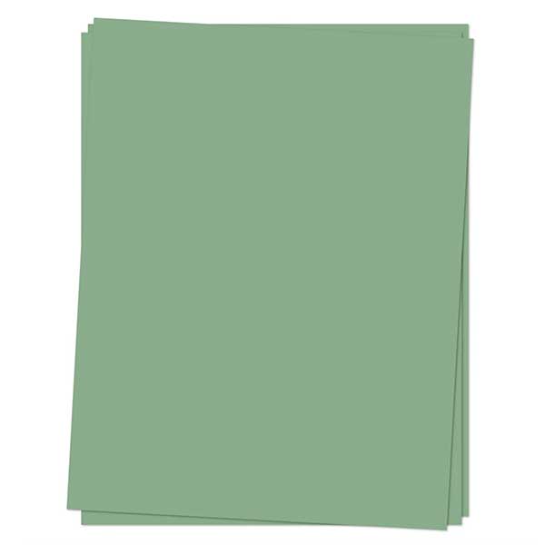 Concord &amp; 9th Cardstock: Eucalyptus