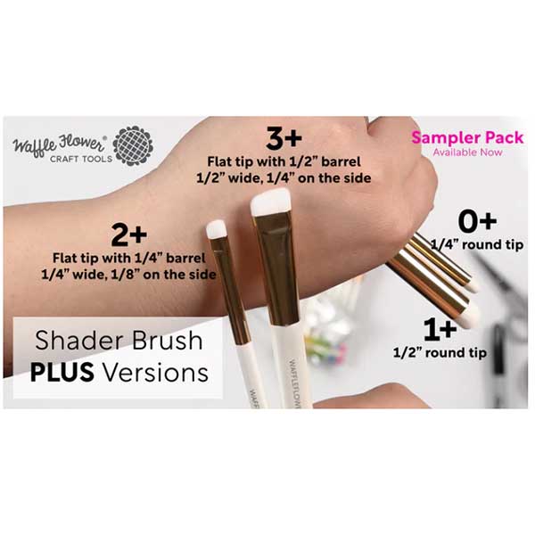 Waffle Flower Shader Brush 3+ - 5/pk