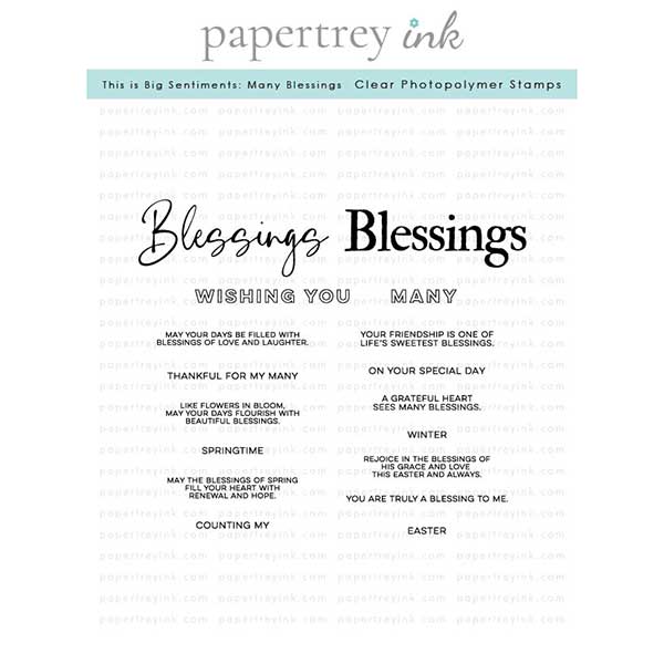 Papertrey Ink This is Big Sentiments: Many Blessings Stamp