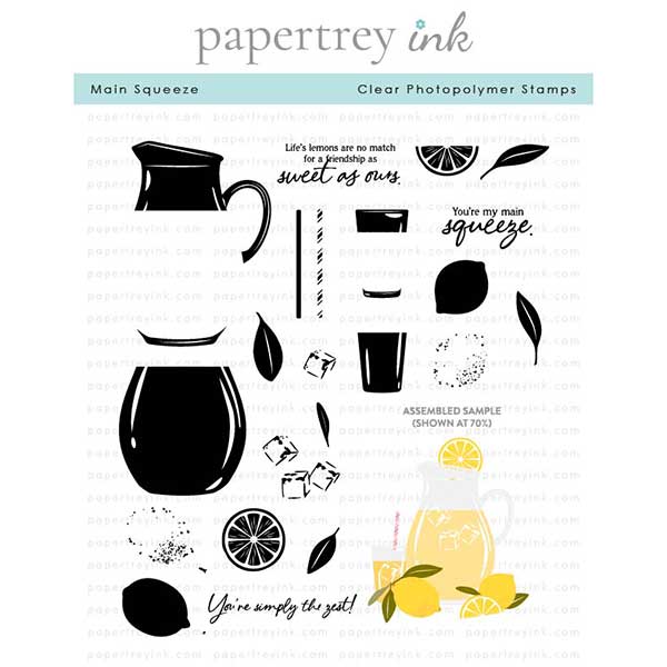 Papertrey Ink Main Squeeze Stamp
