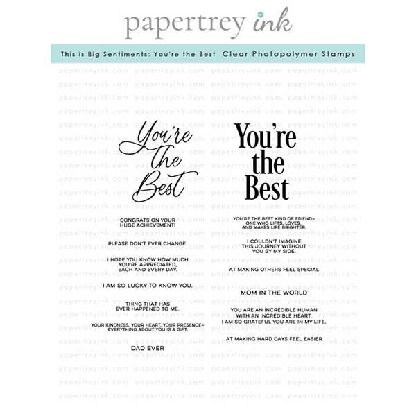 Papetrey Ink This is Big Sentiments: You re the Best Stamp