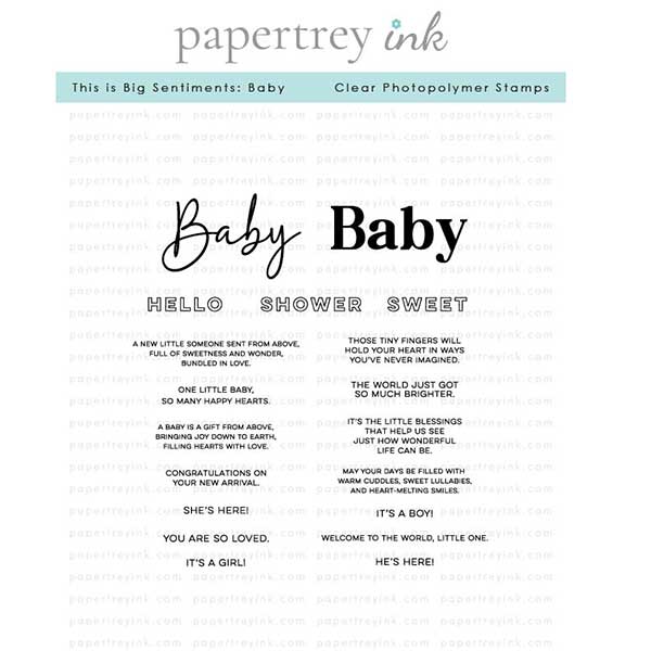 Papertrey Ink This is Big Sentiments: Baby Stamp