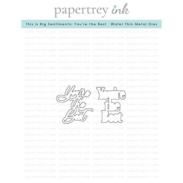 Papertrey Ink This is Big Sentiments: You re the Best Dies